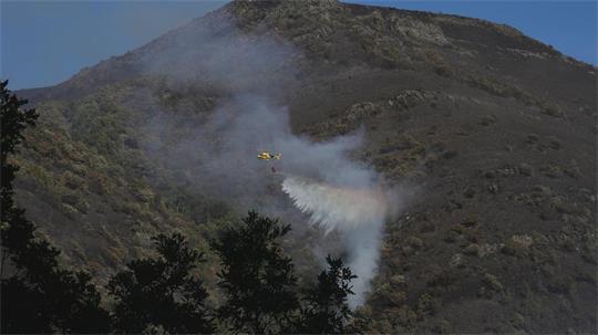 Mehr als 40 meist kleinere Waldbrände halten die Feuerwehren in Spanien weiter auf Trab. 