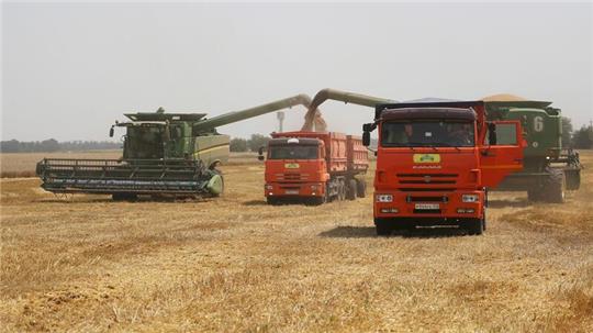 Mehrere EU-Staaten fordern von der Europäischen Kommission Importbeschränkungen für russisches Getreide.