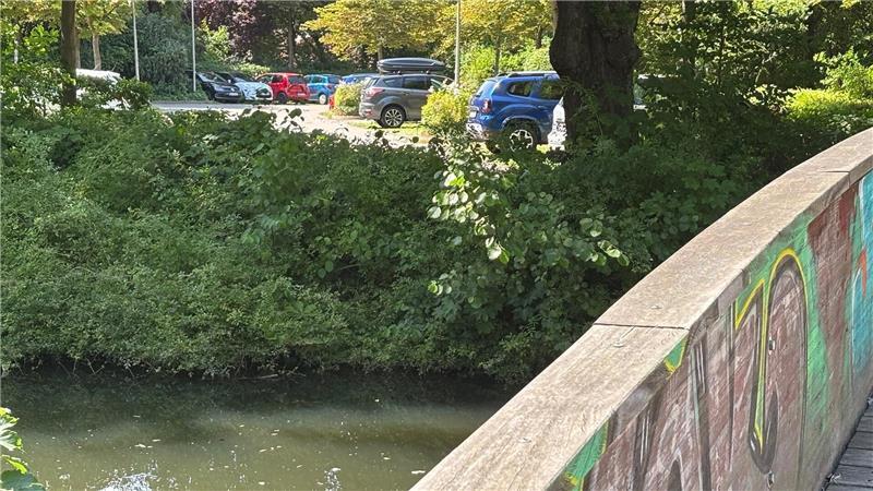 Viele Parkplätze in Buxtehudes Innenstadt: Planer hält das für „verrückt“ Mehrere Parkplätze befinden sich entlang des Grünzugs am früheren Stadtgraben. Die Flächen am Wasser möchten Stadtplaner erlebbarer für Menschen machen.