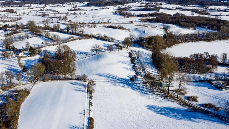 Mehrere Zehntausend Kilometer Knicks prägen die Kulturlandschaft Schleswig-Holsteins. (Archivbild)