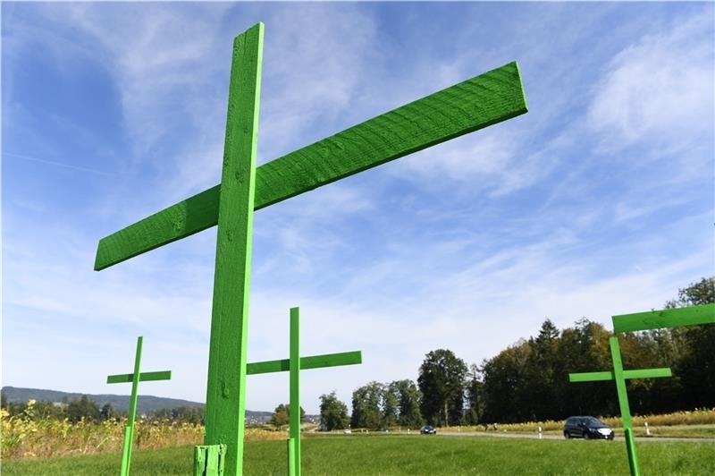 Mehrere grüne Holzkreuze stehen als Mahnmahl der Bauern auf einer Wiese. Foto: Felix Kästle/dpa +++ dpa-Bildfunk +++