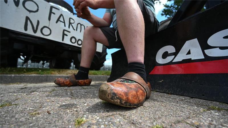 Mehrfach hatten Landwirte in den vergangenen Jahren massiv gegen die Umweltauflagen protestiert. (Archivbild)