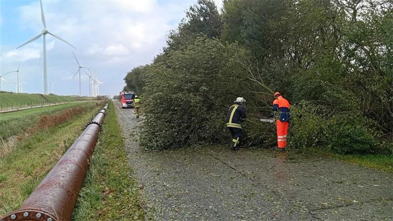 Mehrfach rückten Einsatzkräfte aus, um umgefallene Bäume von Straßen zu räumen.