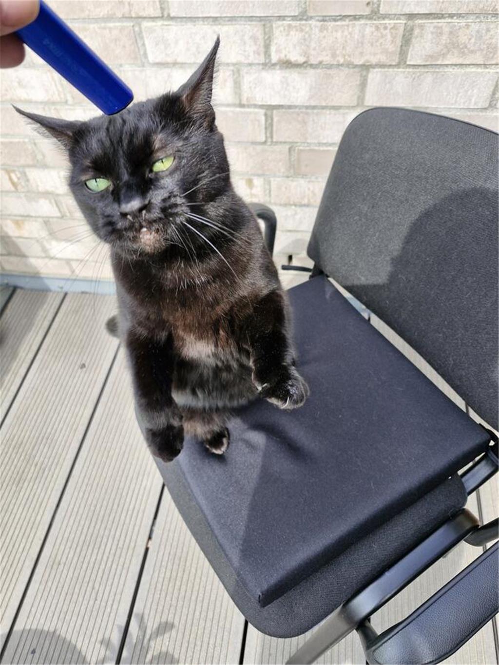 "Meine kleine genießt draußen die Sonne 🌞", schreibt Andreas Hagenah.