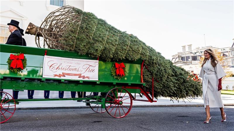Melania Trump empfängt den offiziellen Weihnachtsbaum 2025 des Weißen Hauses.