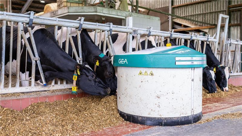 Melkroboter von Gea auf einem Bauernhof in Ahaus. (Archivbild)