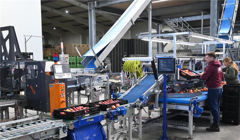 Mensch und Maschine arbeiten Hand in Hand.