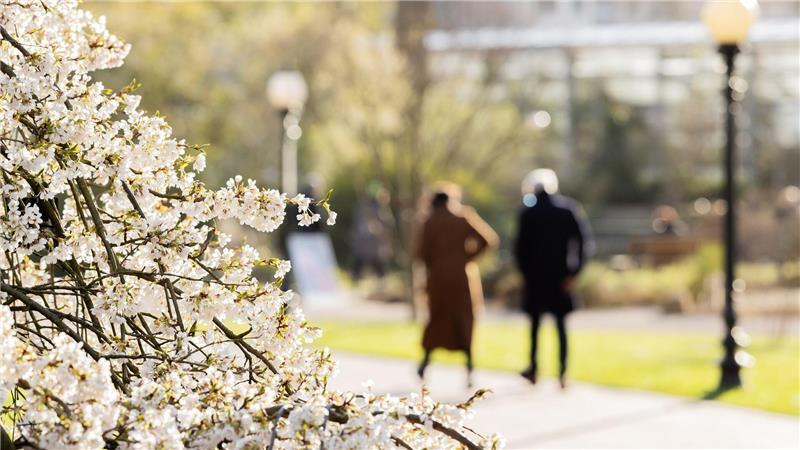 Menschen spazieren im botanischen Garten in Köln.