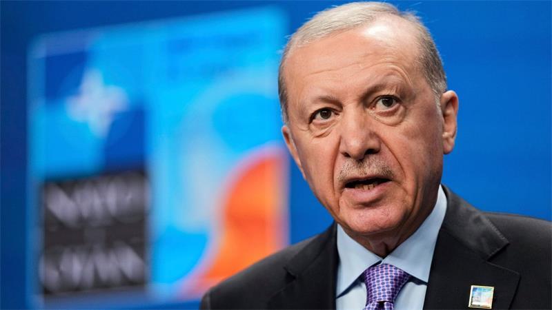 Nato-Gipfel mit Trump: Was in Ankara auf dem Spiel steht Menschenrechtsorganisationen kritisieren das Vorgehen des türkischen Präsidenten Recep Tayyip Erdogan gegen die Opposition - den Nato-Gipfel darf er dennoch ausrichten. (Archivbild)