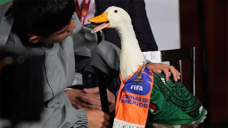 Mexiko-Stadt: Mexikos WM-Ente „Merlin“ watschelt im Nationaltrikot in Sheinbaums Pressekonferenz