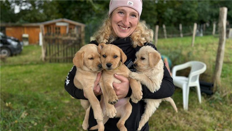 Helfer auf vier Pfoten: Wie Fred zum Assistenzhund ausgebildet wird Mia Müller mit den drei Welpen Anita, Agneta und Alma, die den ersten Charaktertest bestanden haben. Wenn alles gut läuft, werden sie eines Tages zu Assistenzhunden.