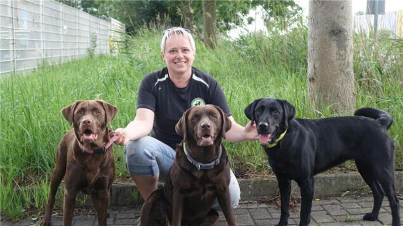 „Man braucht das Glück an seiner Seite“: Wie Rettungshunde arbeiten Michaela Berger im Jahr 2019 zusammen mit ihren drei Labrador-Hündinnen (v.l.) Luna, Ginger und Akira.