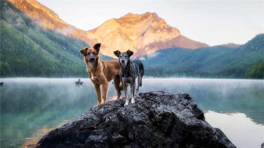 Mika und Ayo sind auch im Urlaub äußerst fotogen. Svenja Baade hat das Foto eing...