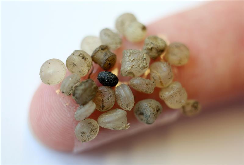 Mikroplastik-Teilchen kleben an einem Klebestreifen an einem Finger. Foto Bernd Wüstneck/dpa-Zentralbild/dpa