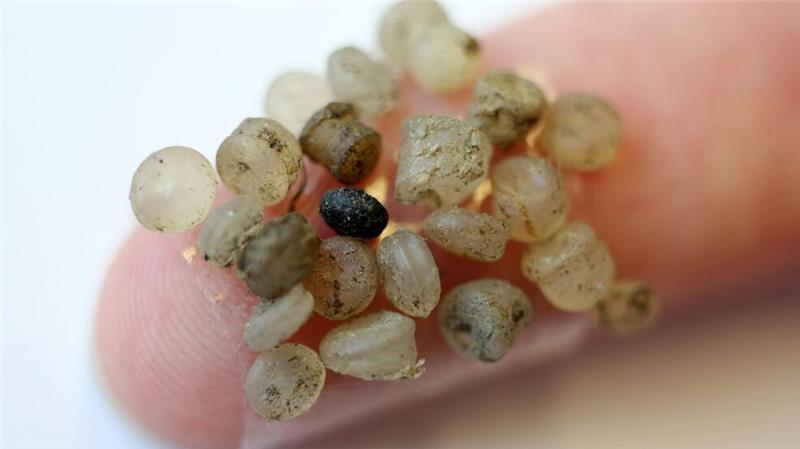 Mikroplastik ist zwischen 1 Mikrometer und 5 Millimeter groß. Nanoplastikpartikel sind kleiner. (Symbolbild)
