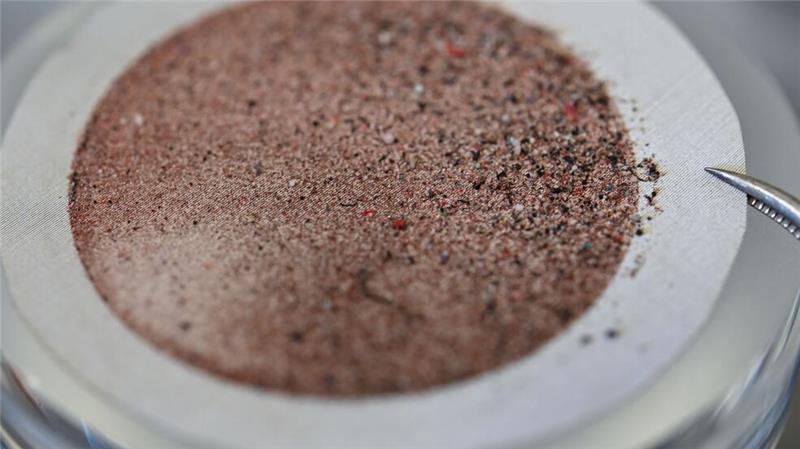 Mikroplastikpartikel haben sich nach Filtration auf einer Edelstahlmembran abgesetzt. (Symbolbild)