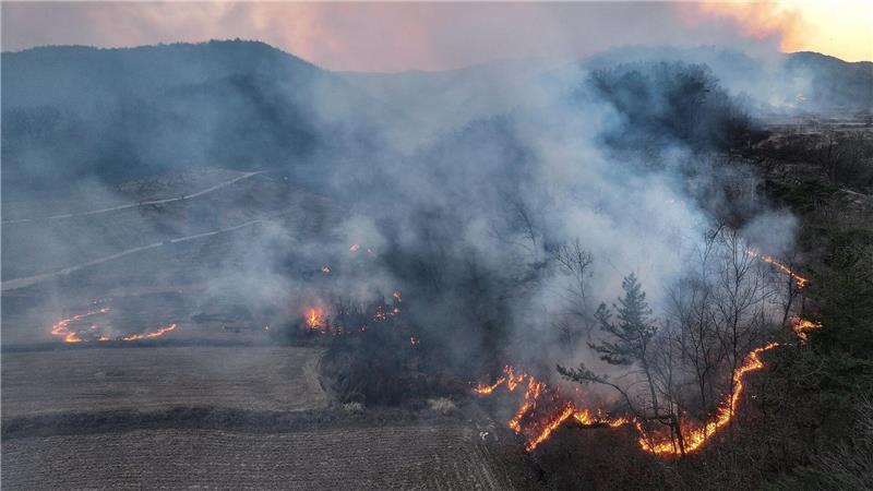 Mindestens vier Menschen sind beim Einsatz gegen Waldbrände in Südkorea ums Leben gekommen.