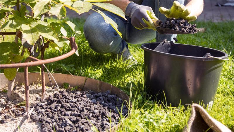 Warum Gartenbesitzer jetzt mulchen sollten Mineralischer Mulch wie Lavamulch kommt direkt bei der Neupflanzung auf den Boden.