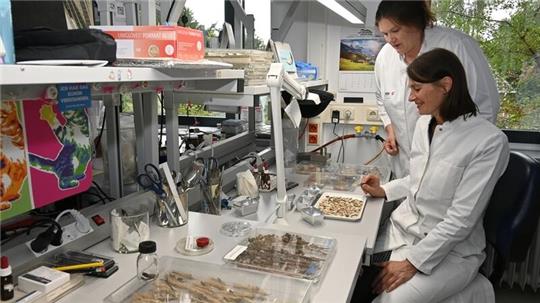 Ministerin Miriam Staudte informiert sich bei der Tierärztin Tina Eggers über die Arbeit des Futtermittelinstituts in Stade (von rechts).