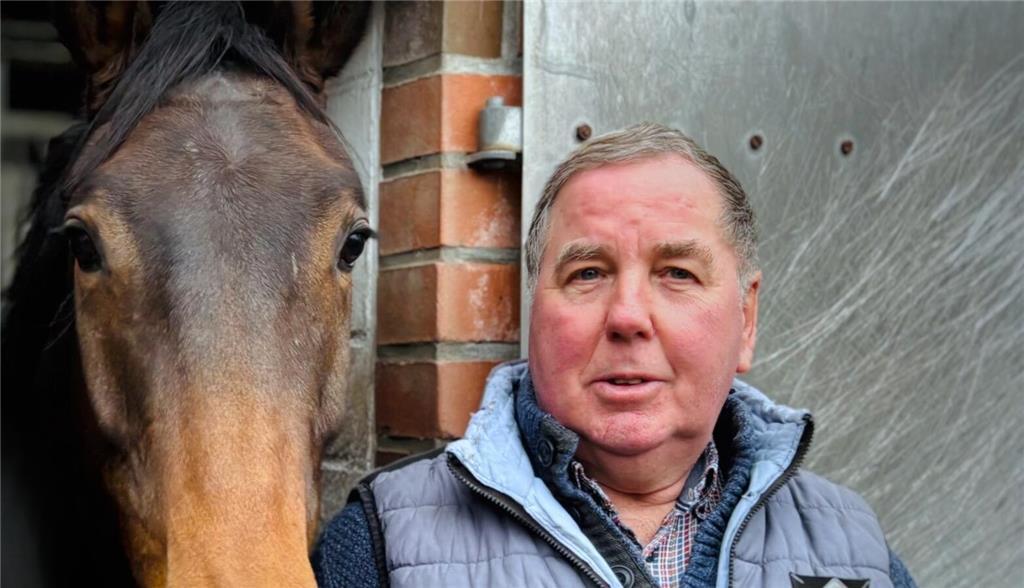 Mir geht's gut und ich bin stolz auf drei Siege bei den Hannoveraner Springpferd...