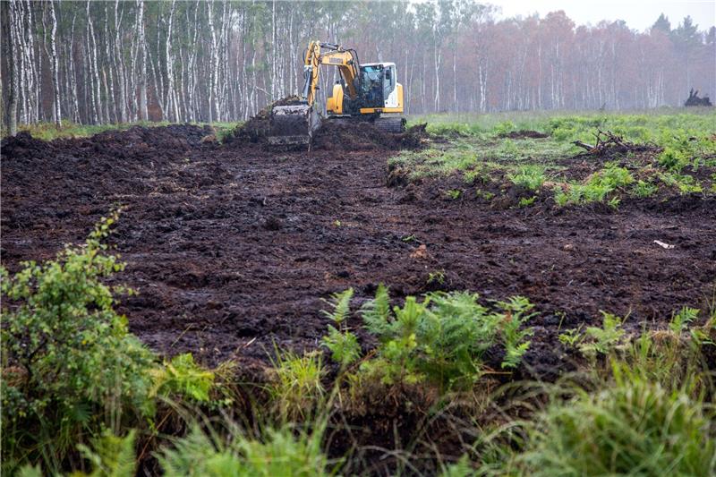 Mit Baggern und Raupenschleppern wird auf einer neue Fläche im Göldenitzer Moor die obere Bodenschicht abgetragen und die spätere Ernte des Torfs vorbereitet.