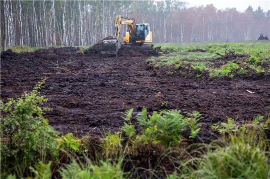 Mit Baggern und Raupenschleppern wird auf einer neue Fläche im Göldenitzer Moor die obere Bodenschicht abgetragen und die spätere Ernte des Torfs vorbereitet.