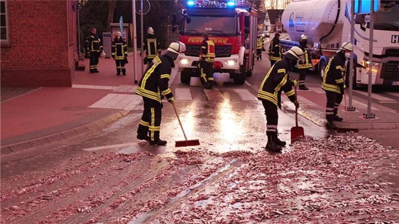 Tote Hühner an A26: Peta setzt diese Belohnung aus Mit Besen und Schaufeln hatten die Feuerwehrleute die breiige Fisch-Masse von der Fahrbahn in Himmelpforten entfernt.