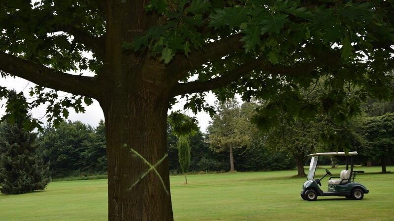 Mit Farbe markierte Bäume auf dem Golfplatz in Immenbeck sorgen für Aufregung bei den Golfspielern. Sie möchten, dass die Bäume erhalten bleiben.