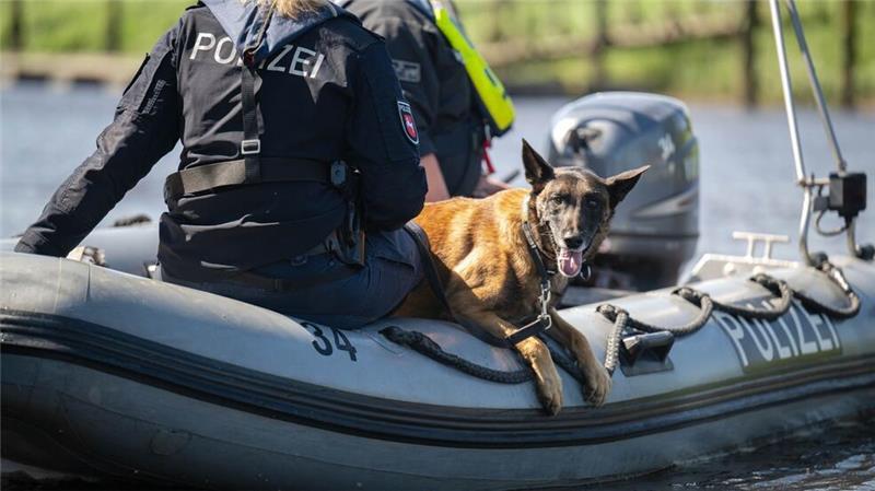 Student weiter verschwunden - „Schock für uns alle“ Mit Hunden sucht die Polizei nach dem vermissten 19-Jährigen (Symbolbild).