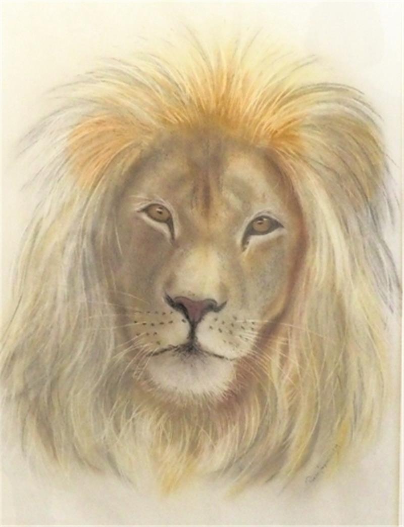 Mit Pastellkreiden hielt Roswitha Precht das Antlitz des Löwen fest.