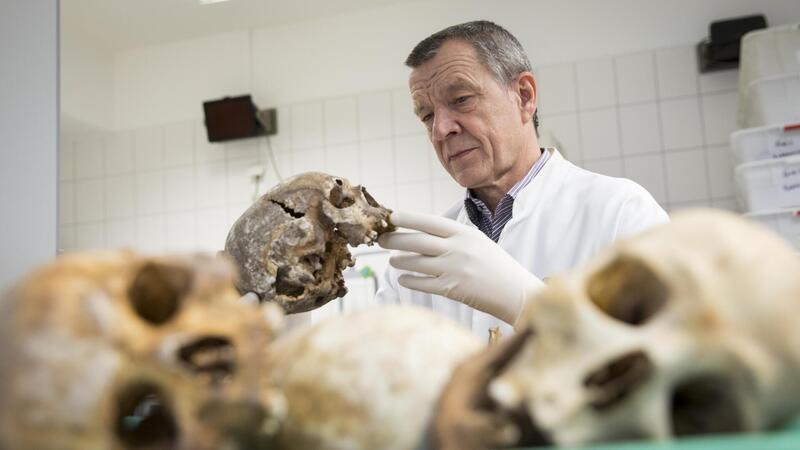 Rechtsmedizin: Crime-Experte Püschel will Cold Cases in der Region lösen Mit Schädeln und Knochen kennt er sich aus: Klaus Püschel, hier auf einem Foto von 2017, betrachtete im Anthropologischen Labor des Instituts für Rechtsmedizin in Hamburg auch solche Funde.