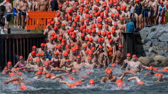 Mit Schwung ins kühle Nass - die Teilnehmer starten zum Internationalen Sundschwimmen im Hafen von Parow bei Stralsund. 