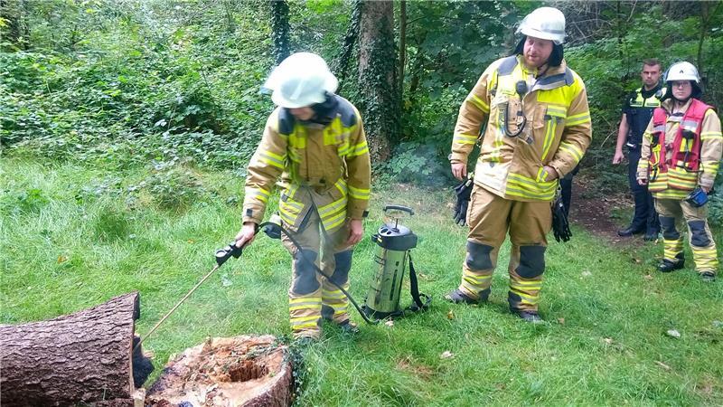 Feuer greift von Kamin auf Reetdachhaus in Wiepenkathen über Mit Wasser rückte Zug I der Stader Feuerwehr einem brennenden Stamm in der Nähe des Krankenhauses zu Leibe.
