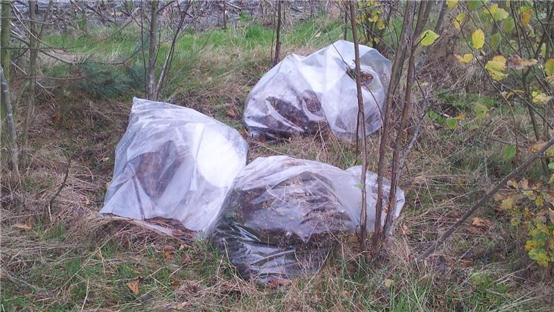 Laub im Wald abladen? Kreis Stade warnt vor illegaler Abfallentsorgung Mit bis zu 100.000 Euro kann das Wegwerfen von Wildmüll geahndet werden.