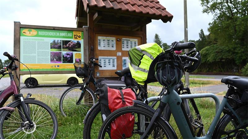Ferien in Niedersachsen: Ausflugsziele abseits der Klassiker Mit dem Fahrrad lassen sich viele Urlaubsregionen wie hier das Ammerland gut erkunden.