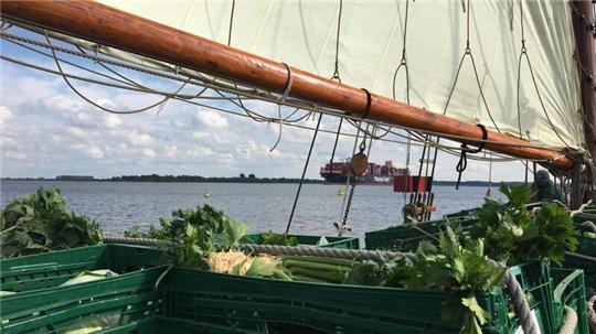 Mit dem Giekewer Frieda wird das Gemüse verschifft: Zwei Plätze bei der Segelfahrt gibt es zu gewinnen.