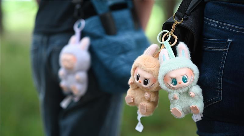 Vorsicht Fake-Shops: Wie Betrüger den Labubu-Hype ausnutzen Mit dem Hype um die begehrten Labubu-Figuren, die weltweit an Taschen baumeln, wollen auch Betrüger Kasse machen.