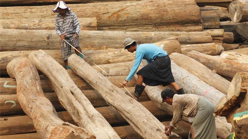 Mit dem Import von Teakholz aus Myanmar, das in Taiwan bearbeitet wurde, hat ein Hamburger Holzhandelsunternehmen laut einem Gerichtsurteil nicht gegen ein EU-Embargo verstoßen.