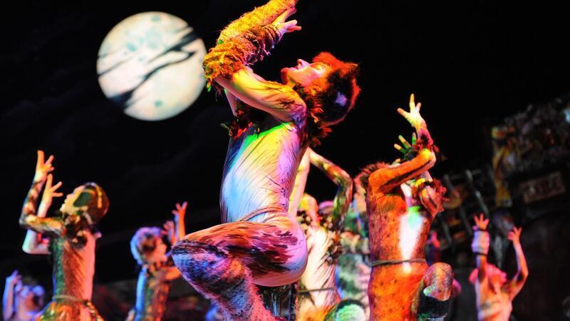 Mit dem Musical „Cats“ fing in Hamburg alles an - seitdem locken die Musical-Produktionen jährlich rund zwei Millionen Menschen an. (Archivbild)