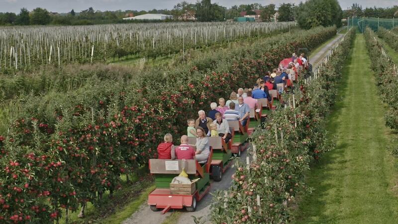 Altländer feiern am Wochenende den Apfel in Steinkirchen und Borstel Mit dem Obsthof-Express geht es beim Tag des offenen Hofes durch die Plantagen.