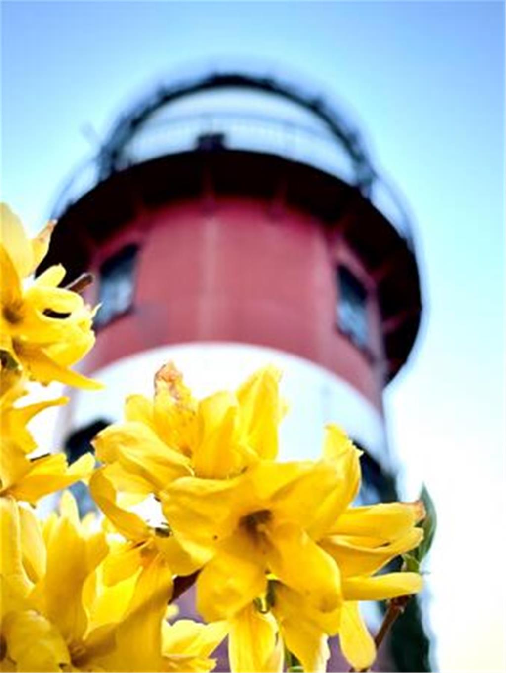 Mit dem Portätmodus entstehen schöne Unschärfen.