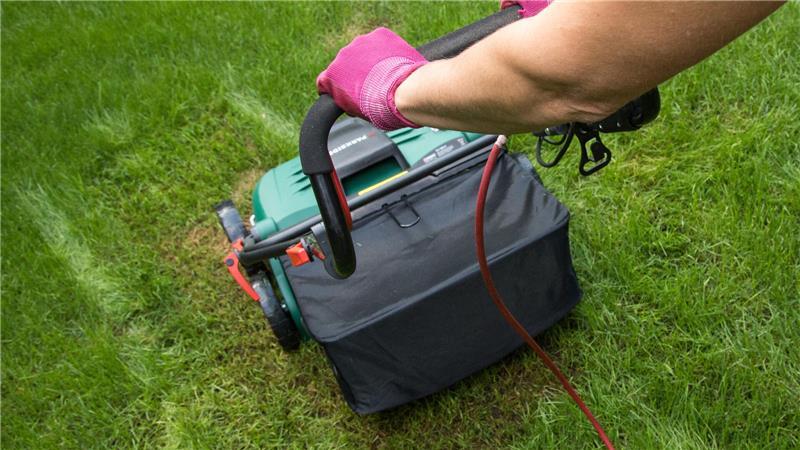 Ein guter Start für den Rasen - in vier Schritten Mit dem Vertikutieren des Rasens wartet man besser - im zeitigen Frühjahr können Schäden im Gras nicht regeneriert werden.