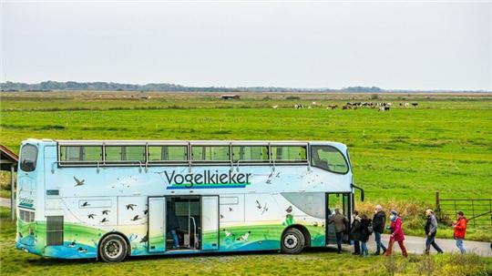 Mit dem Vogelkieker ist die Vogelwelt der Elbmarschen zwischen Stade und Cuxhaven erlebbar.