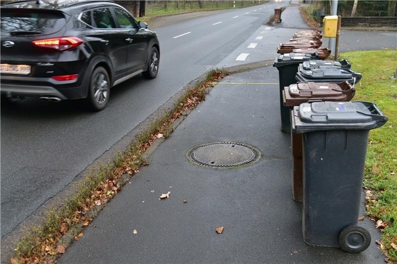 Mit den Mülltonnen wird es auf dem Geh- und Radweg eng. Foto: Beneke