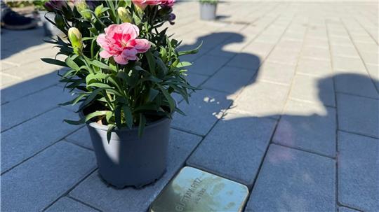 Mit den Stolpersteinen soll an elf Marinesoldaten erinnert werden, die nach der Teilkapitulation am 5. Mai 1945 hingerichtet worden sind. 