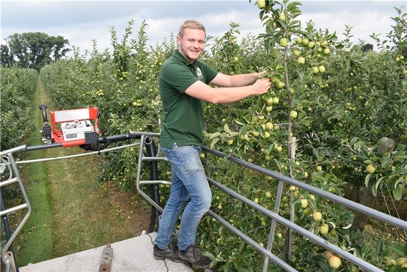 Mit der Arbeitsbühne geht es durch die Obstplantage, das Foto zeigt Philip Köpcke bei der Fruchtausdünnung bei Delbarestivale. Fotos: Vasel