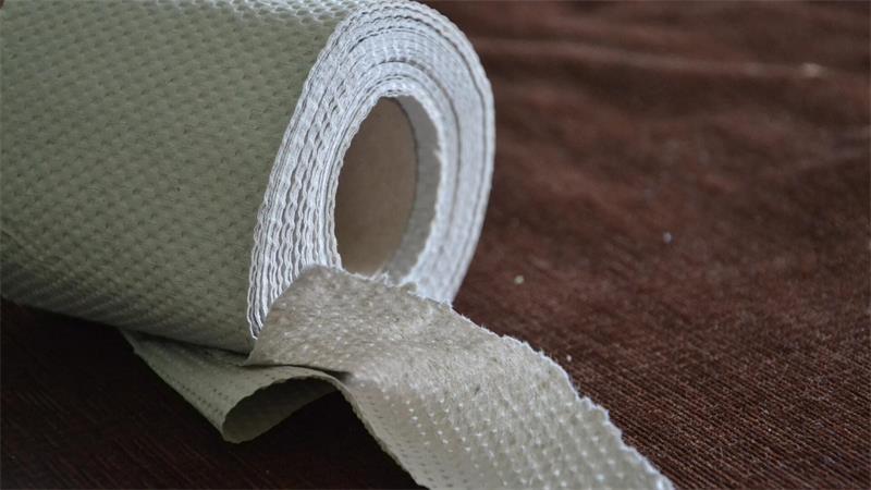 Von der Rolle: Klopapier-Check im Kreis Stade Mit der bewussten Auswahl von Recycling-Toilettenpapier können Verbraucher einen wichtigen Beitrag zum Ressourcenschutz leisten.