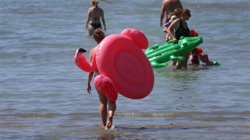 Mit einem Flamingo in den See