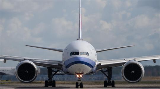 Mit einem Flugzeug soll die Überträger-Mücke nach Frankfurt gelangt sein.