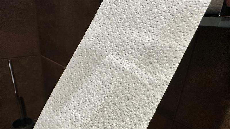 Von der Rolle: Klopapier-Check im Kreis Stade Mit einem Punktmuster geziert ist das zweilagige Toilettenpapier im Stader Rathaus auf der einen Seite weicher, auf der anderen etwas fester.